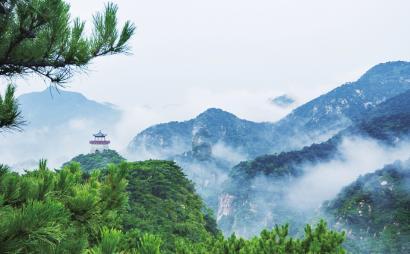糖粉和糖霜可以相互代替吗？用来做黄油曲奇的原料，不是表面装饰